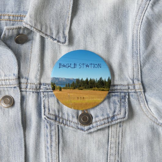 EAGLE-STATIONS-KNOPF 2 BUTTON (Beispiel)