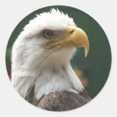 Eagle Stickers (Vorderseite)
