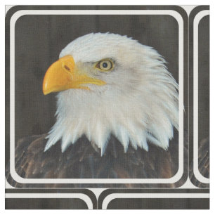 Eagle Stoff