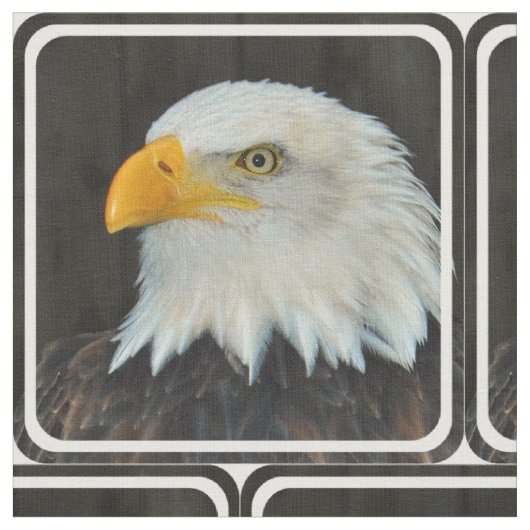 Eagle Stoff (Nahaufnahme)