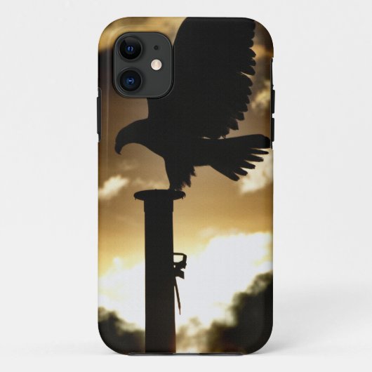 "Eagle Sunset" Bald Eagle Arena Case-Mate iPhone Hülle (Rückseite)