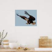 Eagle Swoopdown Poster (Küche)