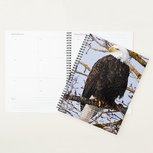 Eagle-Symbolismus-Kalender Planer (Anzeige)
