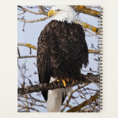 Eagle-Symbolismus-Kalender Planer (Rückseite)