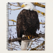 Eagle-Symbolismus-Kalender Planer (Vorderseite)
