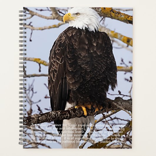 Eagle-Symbolismus-Kalender Planer (Vorderseite)
