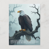 Eagle Symbolismus Postkarte (Vorderseite)