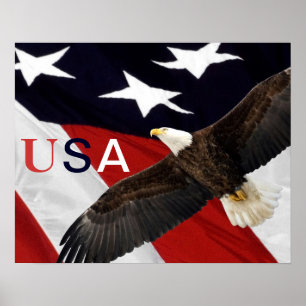 Eagle und die amerikanische Flagge USA Poster