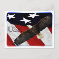 Eagle und die amerikanische Flagge USA