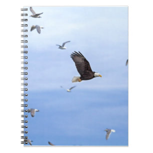 Eagle und Seemöwe-Fliegen Notizblock