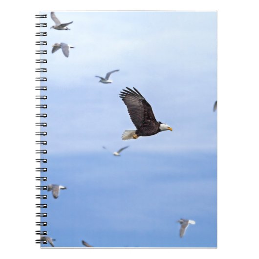 Eagle und Seemöwe-Fliegen Notizblock (Vorderseite)
