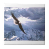 Eagle verwittert den Sturm Fliese (Vorderseite)