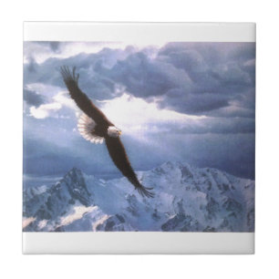Eagle verwittert den Sturm Fliese