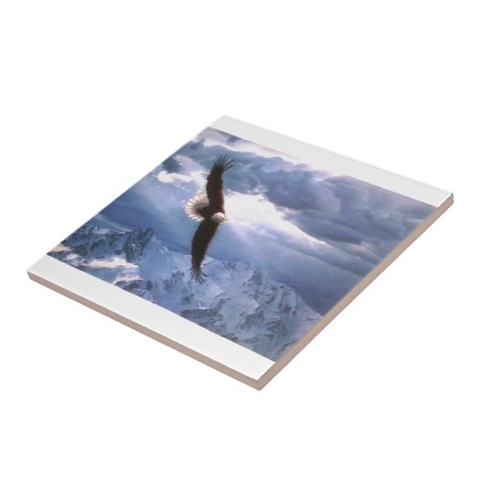 Eagle verwittert den Sturm Fliese (Seite)