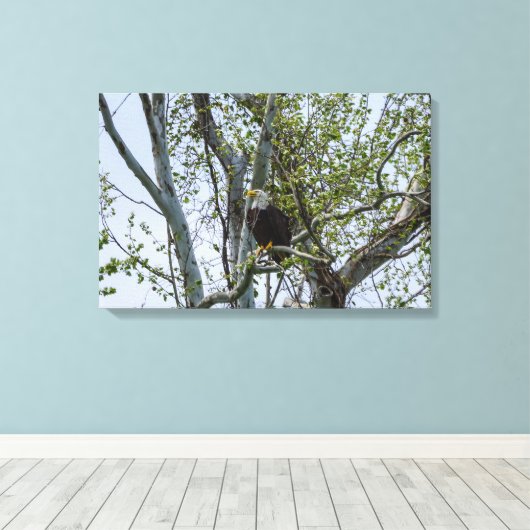 Eagle Watch out Leinwanddruck (Insitu (Holzboden))
