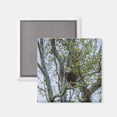 Eagle Watch out Magnet (Vorderseite/Rückseite)