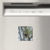 Eagle Watch out Magnet (In Situ (Geschirrspüler))