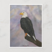 Eagle Watercolor Postkarte (Vorderseite)