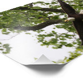 Eagle Wingspan Fotodruck (Ecke)