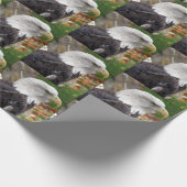 Eagle Wrapping Paper Geschenkpapier (Ecke)