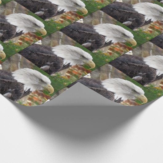 Eagle Wrapping Paper Geschenkpapier (Ecke)