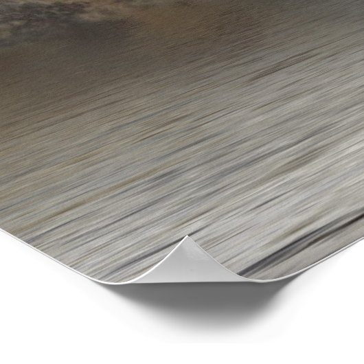 Eaglebear Mtn. -Adler, Bär Poster (Ecke)