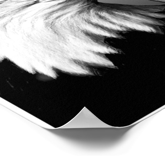 Eaglephant Poster (Ecke)