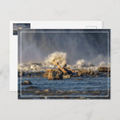 Eagles And Rough Water Postkarte (Vorne/Hinten)