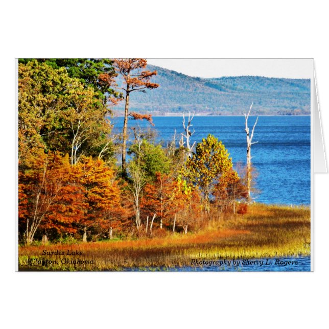 ~Eagles auf Sardis Lake~ (Vorderseite (Horizontal))