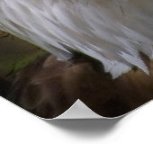 Eagle's Collage Poster (Ecke)