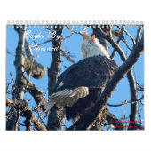 Eagles durch Tamara-Kalender Kalender (Titelbild)