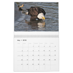 Eagles durch Tamara-Kalender Kalender