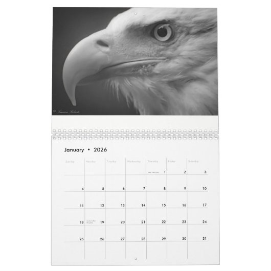 Eagles durch Tamara-Kalender Kalender (Jan 2026)