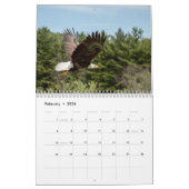 Eagles-, Eulen-und Falke-Tier-Kalender Kalender (Feb 2026)