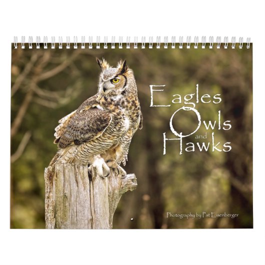Eagles-, Eulen-und Falke-Tier-Kalender Kalender (Titelbild)