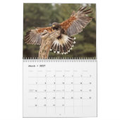 Eagles-, Eulen-und Falke-Tier-Kalender Kalender (Mär 2027)
