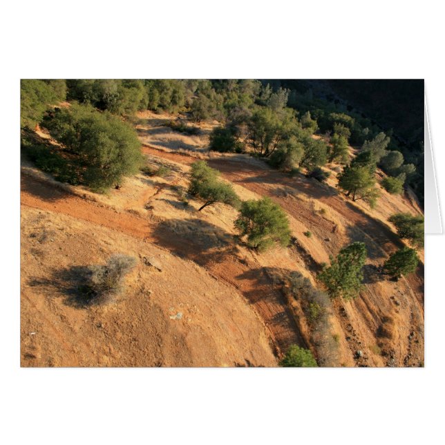 eAgLe's eYe vIeW (Vorderseite (Horizontal))