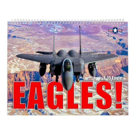 EAGLES! - F-15 Eagle Kalender (Titelbild)