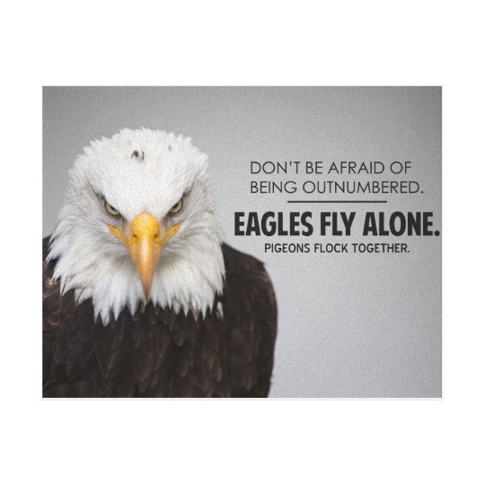 Eagles Fliegen Allein Motivierend Starke Zitate Leinwanddruck Zazzle De