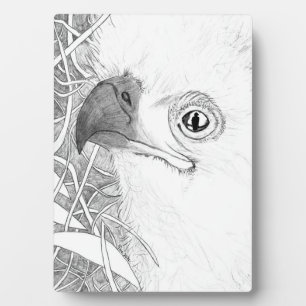 EAGLES HARRIET + M - BEHALT EINES AUGENS FÜR DIE Z FOTOPLATTE