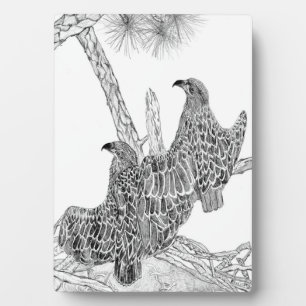 EAGLES HARRIET + M E17 + E18 ZU EINEM GROSSEN EGLA FOTOPLATTE