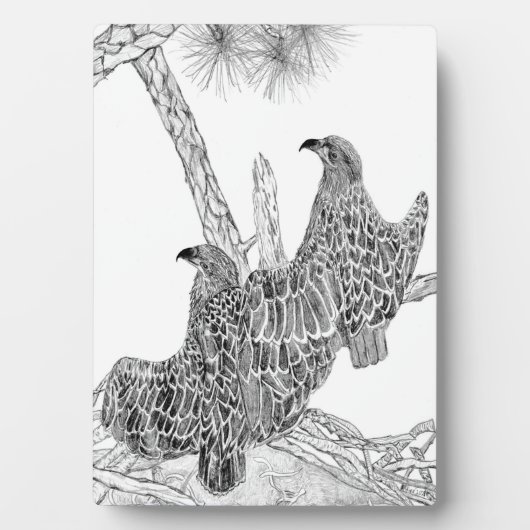 EAGLES HARRIET + M E17 + E18 ZU EINEM GROSSEN EGLA FOTOPLATTE (Vorderseite)