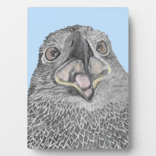 EAGLES HARRIET + M ZUHAUSE FAMILIE BAUEN UNSEREN S FOTOPLATTE