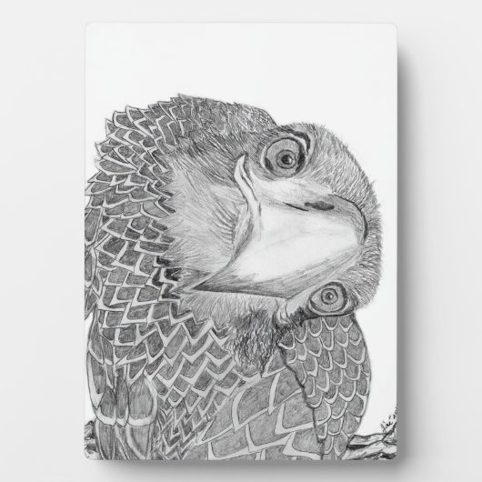 EAGLES HARRIET + M ZUHAUSE FAMILIENBAUM E9 SOARS FOTOPLATTE (Vorderseite)