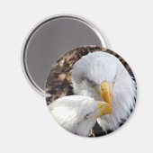 Eagles Magnet (Vorderseite/Rückseite)