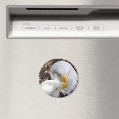 Eagles Magnet (In Situ (Geschirrspüler))