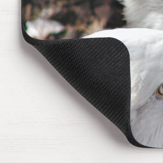 Eagles Mousepad (Ecke)