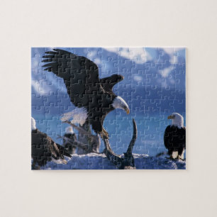 Eagles Puzzle