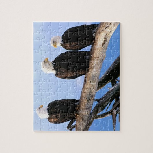 Eagles Puzzle (Vertikal)