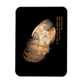 Eagle's Wings Magnet (Vertikal)